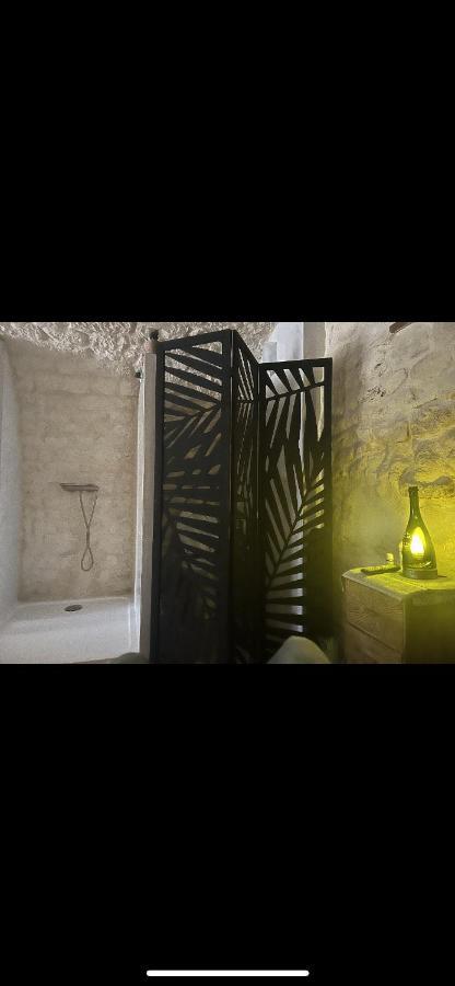 Appartement Voute Des Anges Type Loft Sans Cloison à Castelnau-Montratier Extérieur photo