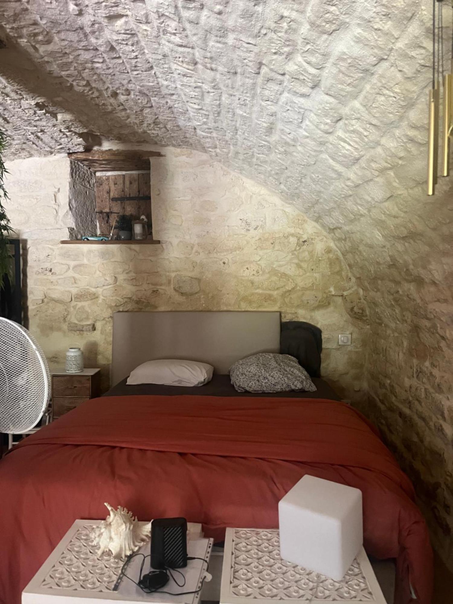 Appartement Voute Des Anges Type Loft Sans Cloison à Castelnau-Montratier Extérieur photo