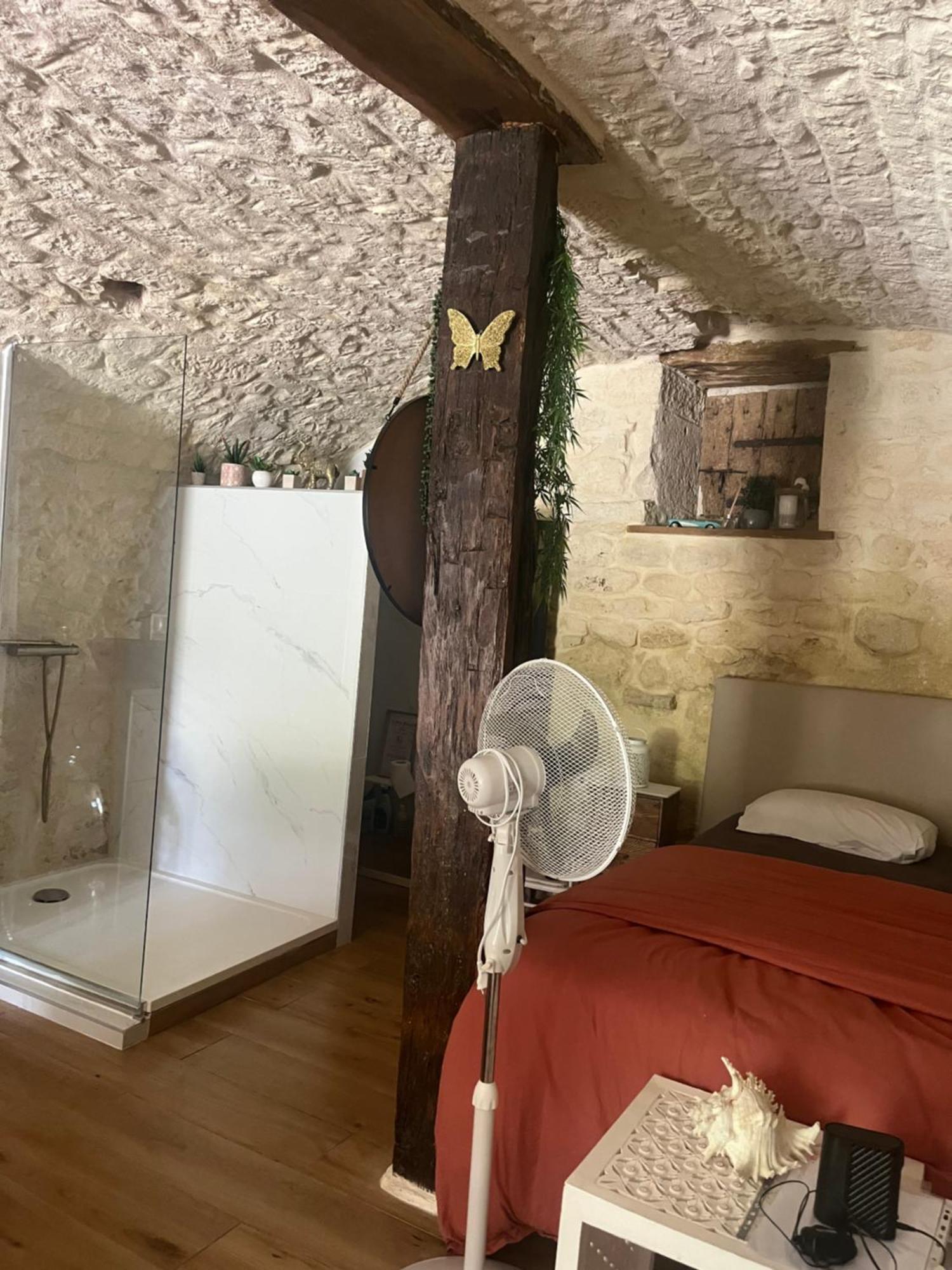 Appartement Voute Des Anges Type Loft Sans Cloison à Castelnau-Montratier Extérieur photo
